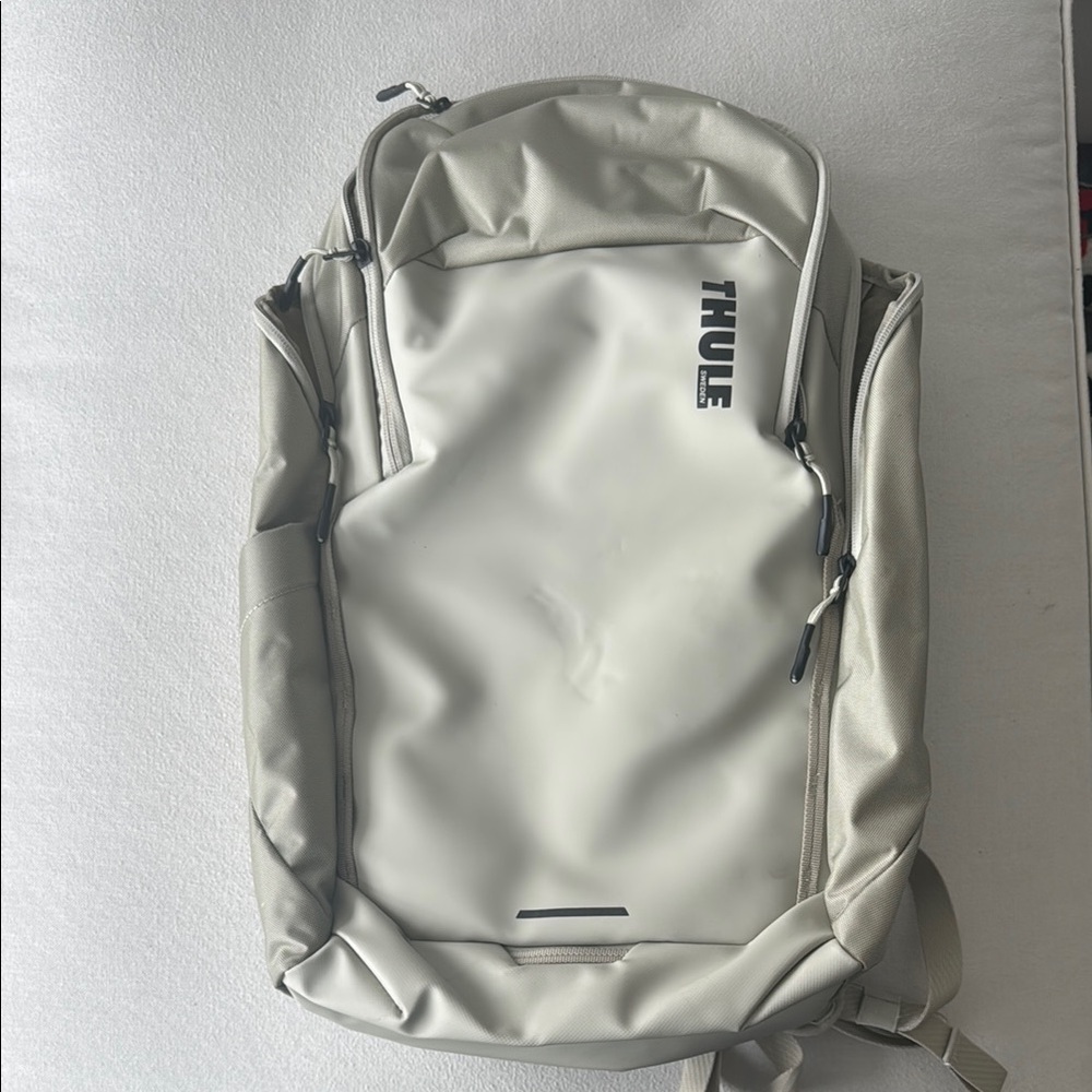 Thule Gray Urban Backpack with Modern Design